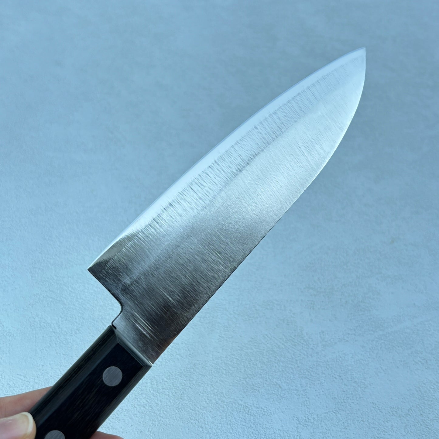 Restored Japanese Isshin Sakaiya Gyuto all purpose knife.165mm